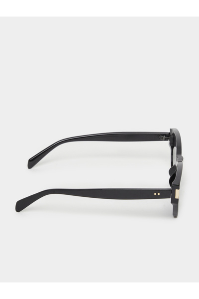 Styli Metallic Accent Cat Eye Sunglasses