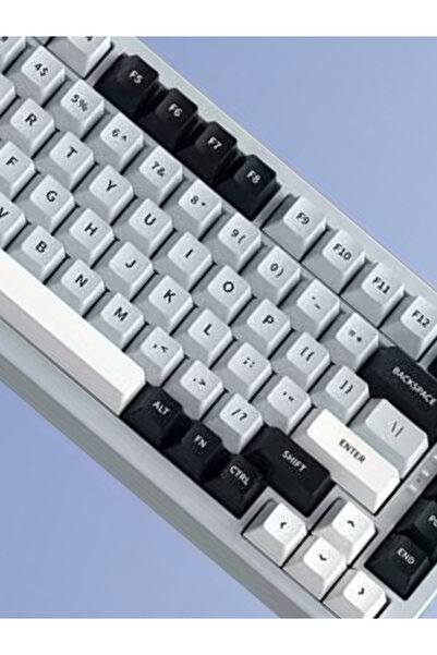 Datastar ZR1131 K81 Pro Klavye