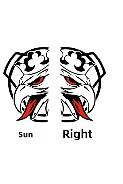 AVERY ملصق سكانيا، 60 سم × 100 سم، مجموعة اليد اليمنى واليسرى