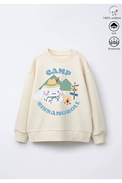 Daisy Dolly Girl's 3 Thread Non-Shardon Cotton Printed Sweatshirt