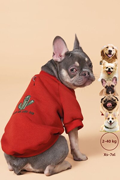 salya store Small, Medium and Large Breed Dog Apparel, Cacti Dog Sweatshirt