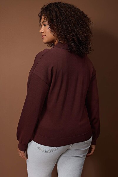 Trendyol Curve Wardrobe Essentials Brown Mercerized Look Polo Neck Knitwear Sweater Tbbaw26An00057