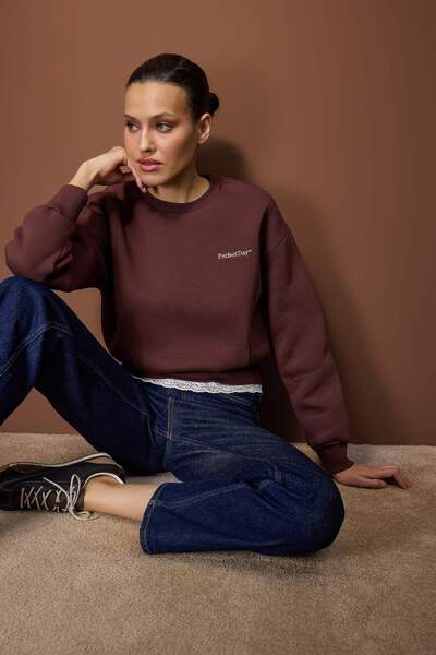 Trendyol Collection Teen Brown Regular Lace Detailed Slogan Embroidered Thick Fleece Knitted Sweatshirt Twoaw26Sw00153