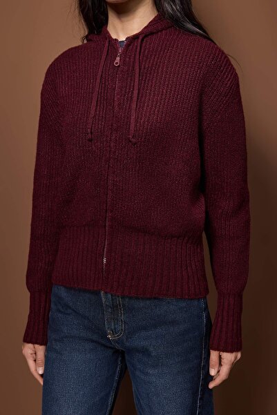 Trendyol Collection Plum Soft Textured Hooded Zipper Knitwear Cardigan Twoaw26Hi00296