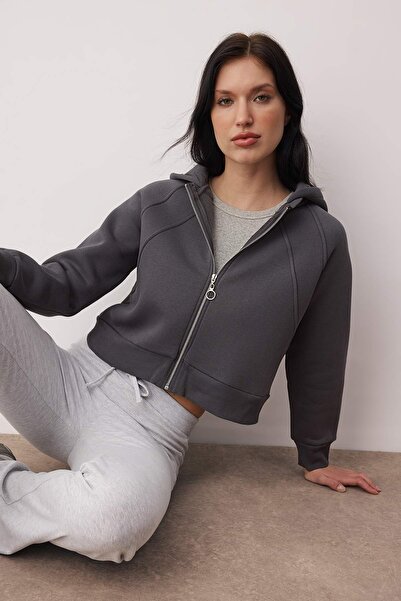 Trendyol Collection Anthrazitfarbenes Regular-Fit-Crop-Sweatshirt mit Reißver...