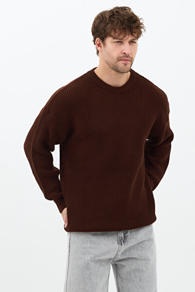 Tarz Cool Men's Brown Regular Fit Crew Neck Knitted Sweater