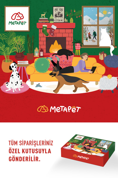 Metapet Köpekler için Balık Yağı, Premium Norveç Somonu Yağı, Omega 3 ve 6, Yüksek EPA-DHA