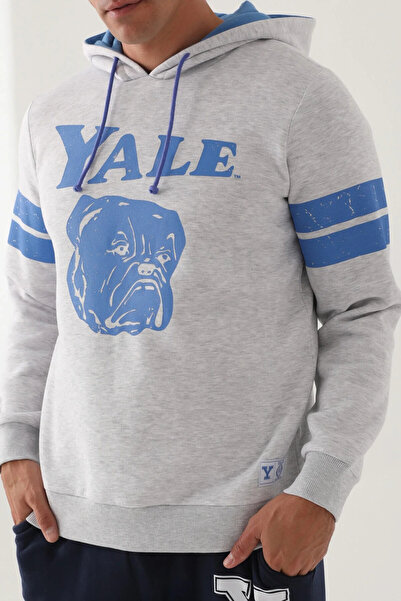 Yale Сніговий меланж з капюшоном і принтом спереду, чоловічий світшот