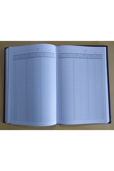 DEFTERSAN 17 x 24 Cont Cari 240 coli