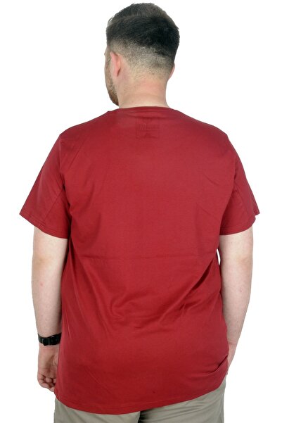 ModeXL Mode Xl Large Size T-shirt Crew Neck Birds 22172 Claret Red