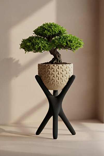 OEM Suport ghiveci, design modern, stand negru, ghiveci detasabil bej, diametru 13cm, printat 3D