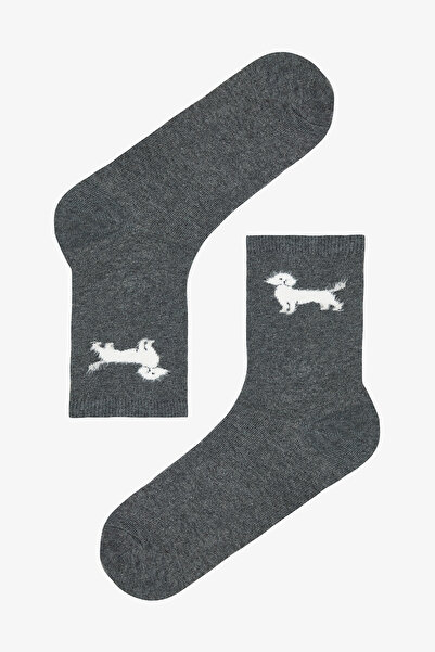 Penti 3 Pairs of Cotton Plush Dog Pattern Socks