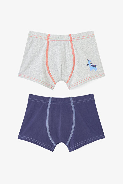 Penti Αγόρια Carousel Dinosaur με τύπωμα 2-pack Boxer