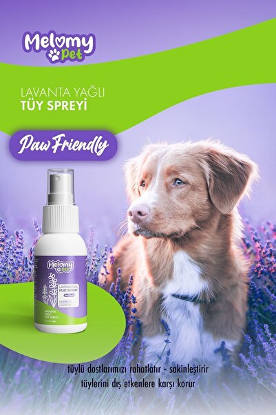 Melomy Kedi & Köpek Lavanta Yağlı Tüy Spreyi