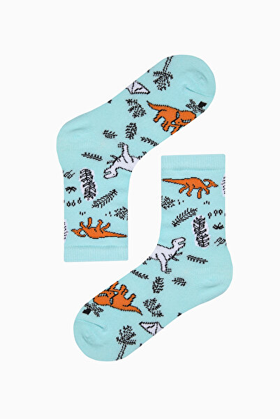 Penti Boy's Mesozoic Era Multicolored 4-Piece Socks