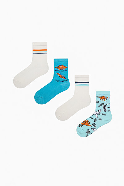 Penti Boy's Mesozoic Era Multicolored 4-Piece Socks