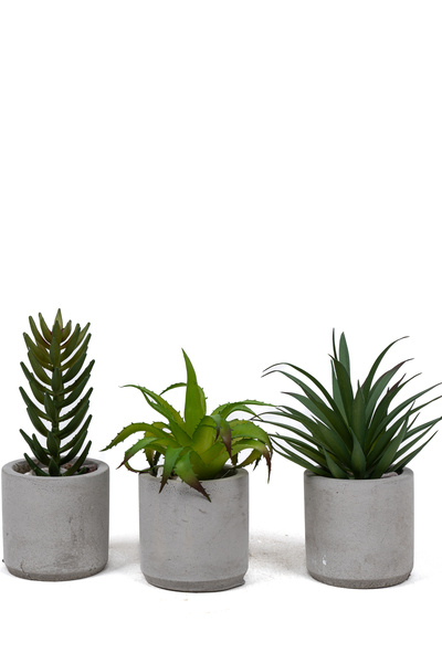 YAPAY ÇİÇEKÇİNİZ مجموعة من 3 صبار صناعي في وعاء خرساني