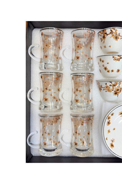 ALQANNAS 36 Piece Tea and Coffee Set | Floral Print Crystal Glass Tea Cups with Ceramic Cups and Saucers