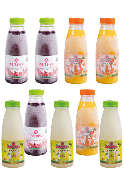 nartalya Sıkma Nar Portakal Limonata Limon Suyu 3 er Adet 330 ml.Dondurulmuş ...