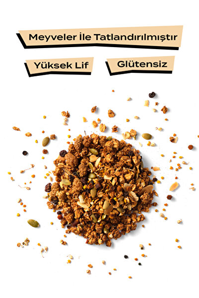 THE GOOD WİLD Arı Ekmeği & Polenli Granola | Glutensiz Yulaf Ezmesi | İlave Şekersiz | Yüksek Lif | 3 x 300 Gr
