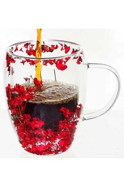 OEM Double Walled Glass Mug Dried Flowers