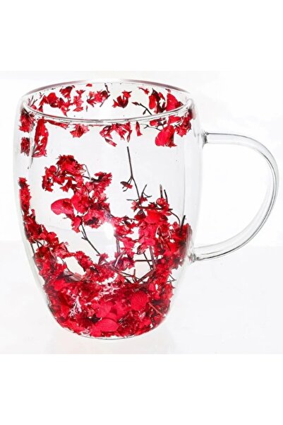 OEM Double Walled Glass Mug Dried Flowers
