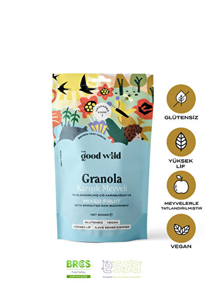 THE GOOD WİLD جرانولا خالية من الغلوتين، خالية من السكر، فواكه مشكلة 300 جرام