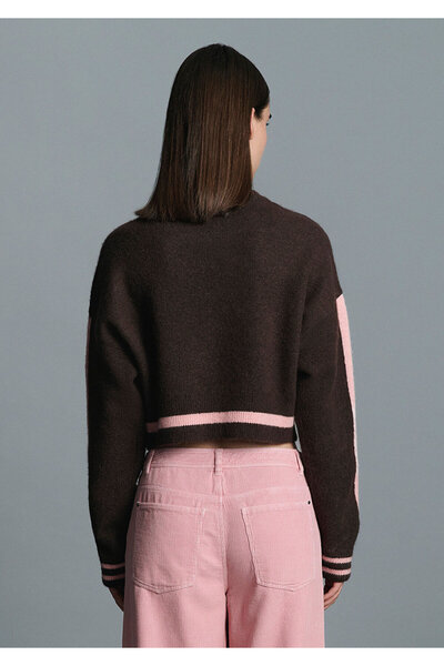 Mavi Καφέ πουλόβερ με λεπτομέρεια ρίγες / Κοντό κόψιμο 1710876-70251