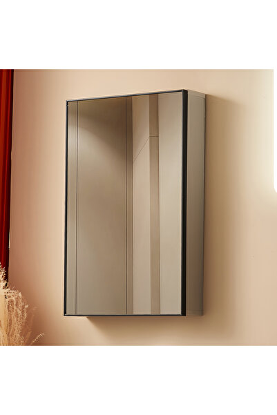 sharpdo خزانة مرآة حمام 50x60x10 سم - مثبتة على الحائط - خزانة مرآة فضية مثالية للحمام