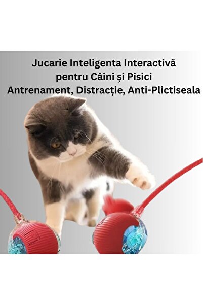 OEM Smart interactive toy for cats and dogs 1+1 FREE!