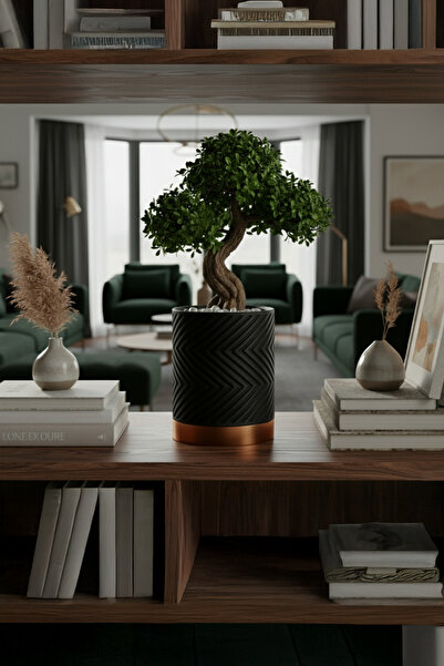 OEM Ghiveci Inalt Geometric Luxe – Culoare Midnight Black & Copper Gold