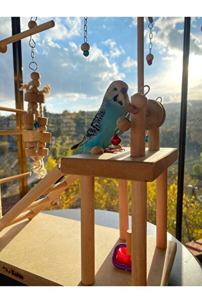 Ciko Kafes Simple Bird Play Track