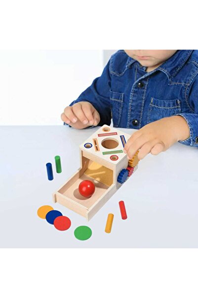 Micostore Montessori educational game 4 in 1 Perm Box, skill and sorting, multicolor