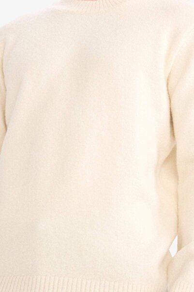 DeFacto Relax Fit Crew Neck Knitwear Sweater E8390Ax25Cw