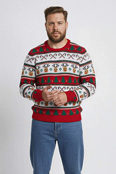 DeFacto Crew Neck Christmas Themed Knitwear Sweater G1118Ax25Wn