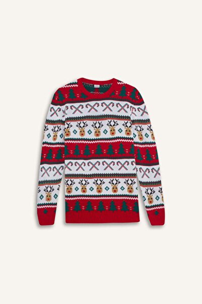 DeFacto Crew Neck Christmas Themed Knitwear Sweater G1118Ax25Wn