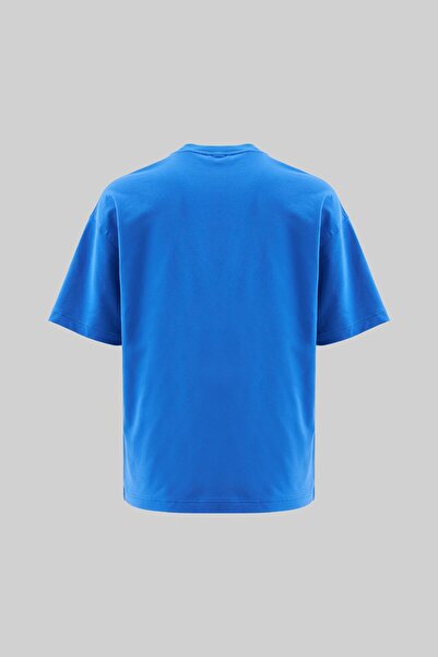 Machinist Чоловіча софтова футболка великого розміру з принтом лебедя, блакитного кольору