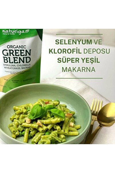 Naturiga Organik Yeşil Karışım 100gr
