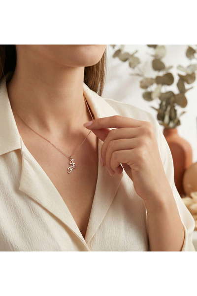 sevy jewelry İki Harfli Kolye, Sevgili ve Aile Kolyesi, Gümüş Kolye