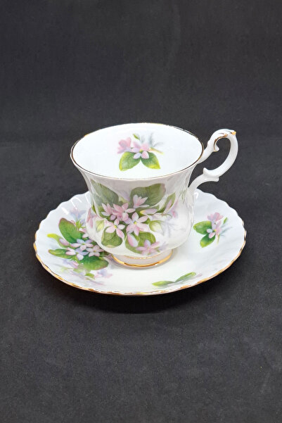 Royal Albert Bone China England Mayflower Vintage Double Boy Coffee Cup and Saucer 120 ml