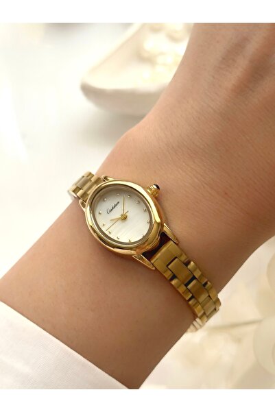 Forsining -Ceshdun-(Gold Color) Minimal Oval Case Women Wrist Watch