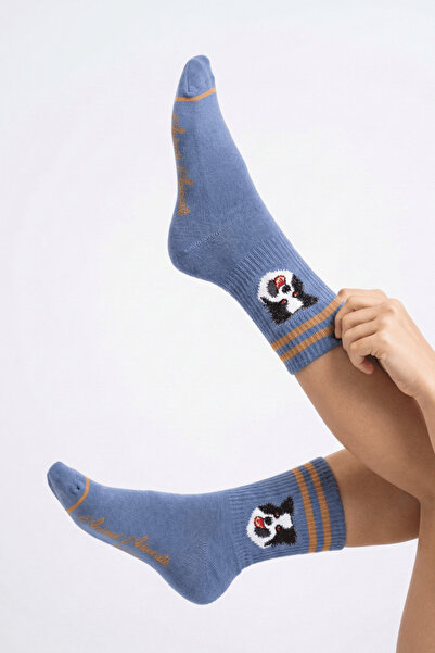 Trampoline Dog Patterned Long Socks - Patterned Socks - Blue Long Socks