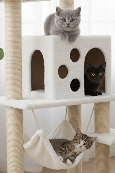 Reyo بيت خدش فاخر للقطط من Pet B-10 مزود بأرجوحة