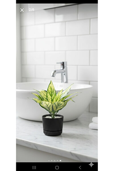 YASİMA Kılıç Çiçeği Sarılı 6 Dallı 25 Cm Ev Dekor Saksı Süsü