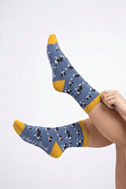 Trampoline Dog Patterned Long Socks - Patterned Socks - Blue Long Socks