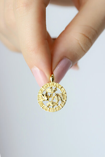 Coy Diamond Balık Burcu Kolye,14 Ayar Altın Kolye,Burç Kolye,14 Ayar Altın Ba...