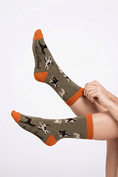 Trampoline Dog Patterned Long Socks - Patterned Socks - Khaki Green Long Socks