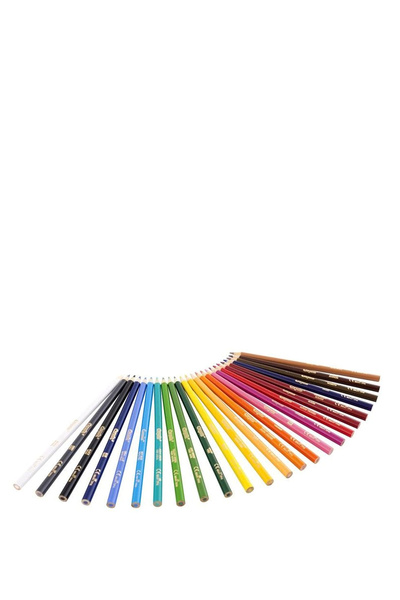 Crayola Kuru Boya Kalemi 24 Renk