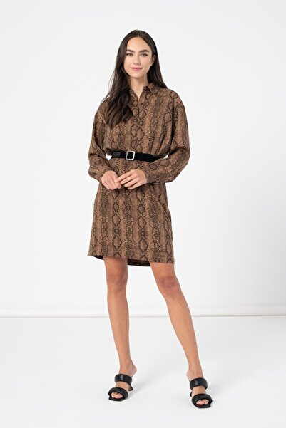 Guess Fitted Dress with Pointed Collar, Brown, M