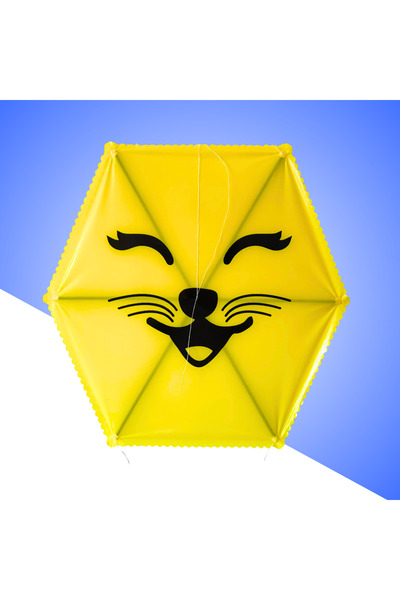 GÜLEN UÇURTMA Naylon Altıgen Uçurtma / Kedicik